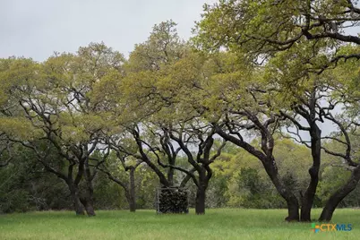 426 Mill Run, New Braunfels, TX 78132 - Photo 29