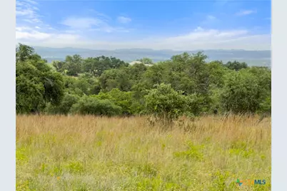 428 Summit Spring Lane, Johnson City, TX 78636 - Photo 9