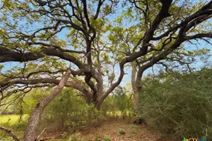 958 Co Rd 456, Waelder, TX 78959 - Photo 5