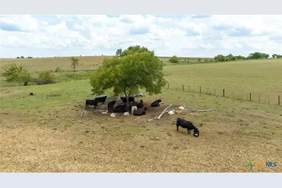 4775 Barnes Road, Salado, TX 76571 - Photo 13