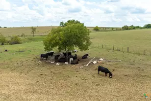 4775 Barnes Rd, Salado, TX 76571 - Photo 13