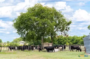 4775 Barnes Rd, Salado, TX 76571 - Photo 25