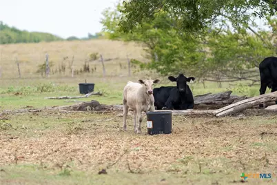 4775 Barnes Road, Salado, TX 76571 - Photo 43