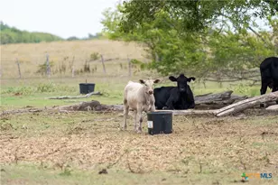 4775 Barnes Rd, Salado, TX 76571 - Photo 43