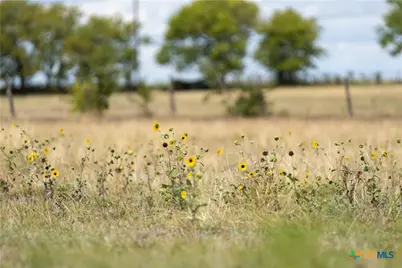 4775 Barnes Road, Salado, TX 76571 - Photo 23