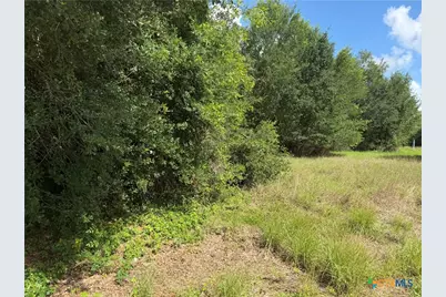 Lot 529 Grand Oak Street, Palacios, TX 77465 - Photo 3