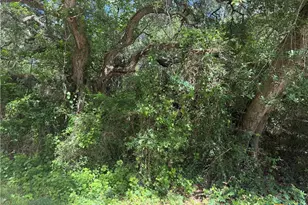 Lot 529 Grand Oak St, Palacios, TX 77465 - Photo 1
