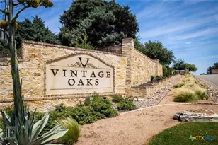 1464 Merlot, New Braunfels, TX 78132 - Photo 45