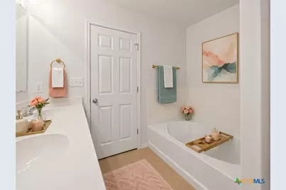 142 Texas Thistle, New Braunfels, TX 78130 - Photo 13