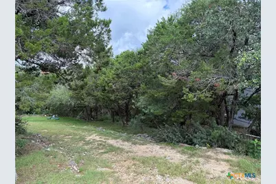 295 Nancy Drive, Canyon Lake, TX 78133 - Photo 3