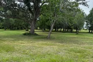 19313 State Hwy 172, La Ward, TX 77970 - Photo 1