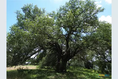 731 Santa Maria Road, Salado, TX 76571 - Photo 11