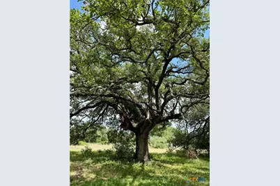 731 Santa Maria Road, Salado, TX 76571 - Photo 13