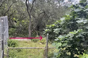 874 Oak Ln, New Braunfels, TX 78130 - Photo 35