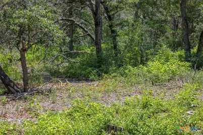 Tbd Tract 3B Rabel Rd, Rosanky, TX 78953 - Photo 9