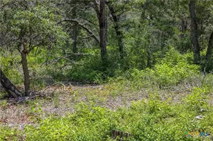 Tbd Tract 3B Rabel Rd, Rosanky, TX 78953 - Photo 9