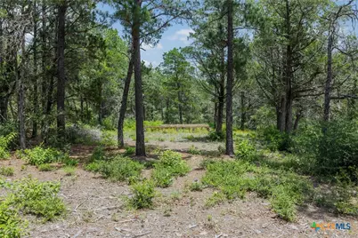 Tbd Tract 3B Rabel Rd, Rosanky, TX 78953 - Photo 11