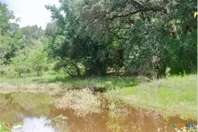 Tbd Fm 531, , TX 77987 - Photo 17