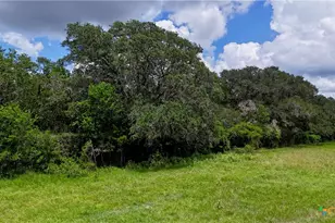 Tbd Fm 531, , TX 77987 - Photo 29