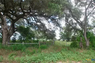 Tbd Fm 531, , TX 77987 - Photo 3