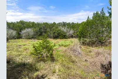 541 Henderson Drive, Spring Branch, TX 78070 - Photo 11