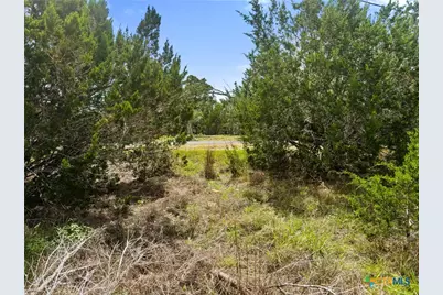 541 Henderson Drive, Spring Branch, TX 78070 - Photo 3