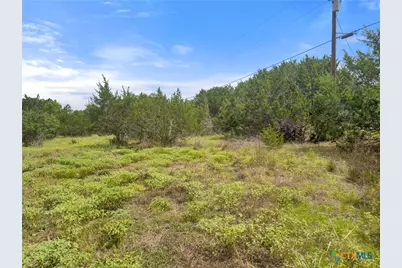 541 Henderson Drive, Spring Branch, TX 78070 - Photo 9