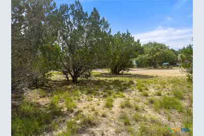 541 Henderson Drive, Spring Branch, TX 78070 - Photo 7
