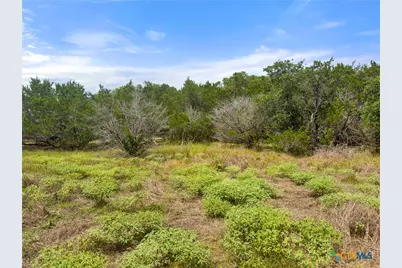 541 Henderson Drive, Spring Branch, TX 78070 - Photo 5