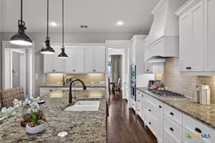 255 Retama Pl, San Antonio, TX 78209 - Photo 17