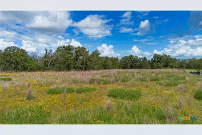 84 Longhorn Road, Stockdale, TX 78160 - Photo 15