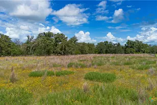 84 Longhorn Rd, Stockdale, TX 78160 - Photo 15