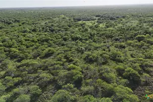 [Address not provided], Goliad, TX 77963 - Photo 9