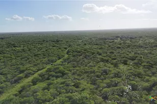 [Address not provided], Goliad, TX 77963 - Photo 11