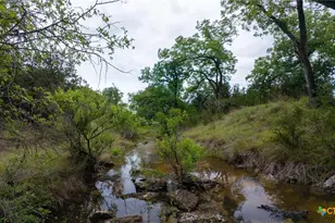 391 Hwy 84 E, Goldthwaite, TX 76844 - Photo 5