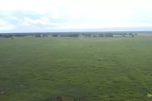 901 Walker Rd, Goliad, TX 77963 - Photo 13
