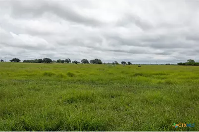 901 Walker Road, Goliad, TX 77963 - Photo 7