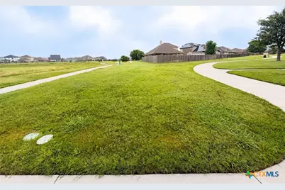 8080 Gato Lane, Round Rock, TX 78665 - Photo 27