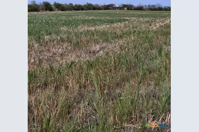 1701 W Fm 487, Jarrell, TX 76537 - Photo 1