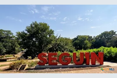 308 S Erkel Avenue, Seguin, TX 78155 - Photo 47