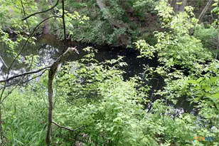 000 Brushy Branch Rd, Lockhart, TX 78644 - Photo 7