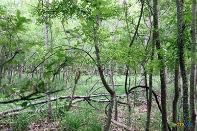 000 Brushy Branch Road, Lockhart, TX 78644 - Photo 3