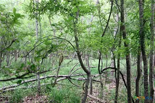 000 Brushy Branch Rd, Lockhart, TX 78644 - Photo 3