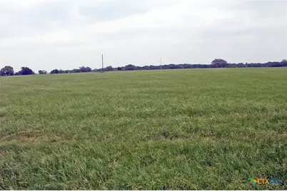 00 Brushy Branch Road, Lockhart, TX 78644 - Photo 5