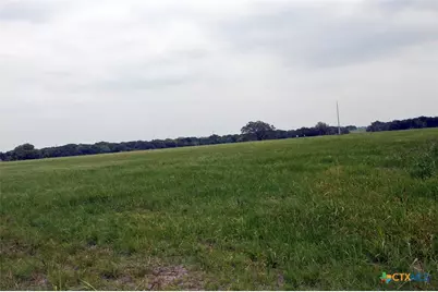 00 Brushy Branch Road, Lockhart, TX 78644 - Photo 3