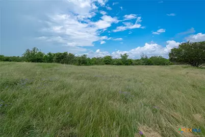 1919 Wetz Road, Marion, TX 78124 - Photo 41