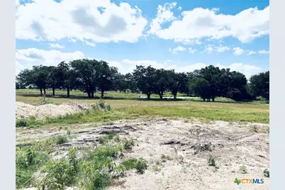 16049 Honey Ridge Drive, Holland, TX 76534 - Photo 9