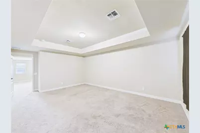 329 Green Heron, New Braunfels, TX 78130 - Photo 39