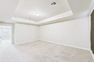 329 Green Heron, New Braunfels, TX 78130 - Photo 39