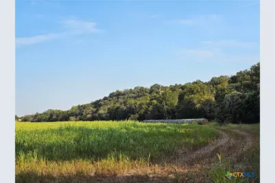 Tbd-End Bunnell Road, Purmela, TX 76566 - Photo 9